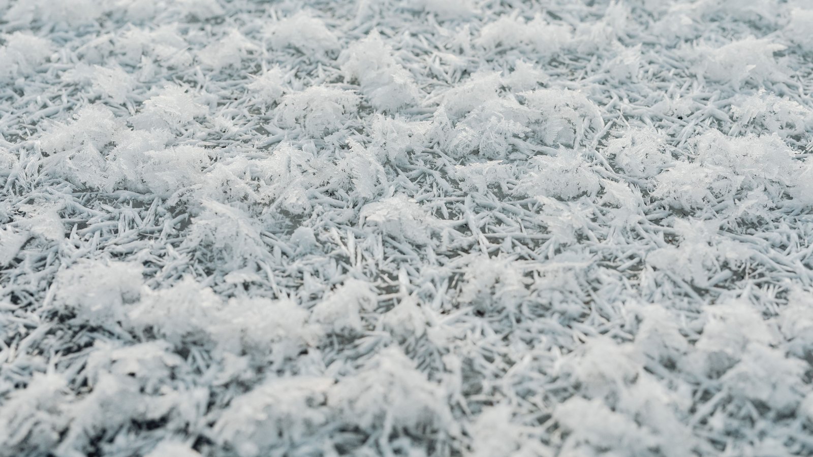 A close photograph of hoar frost, thousands of fine white ice needles standing up in clumps across a flat surface and filling the frame, sharpest through the middle and falling away at the edges. No text, brand mark, person or place is in view.