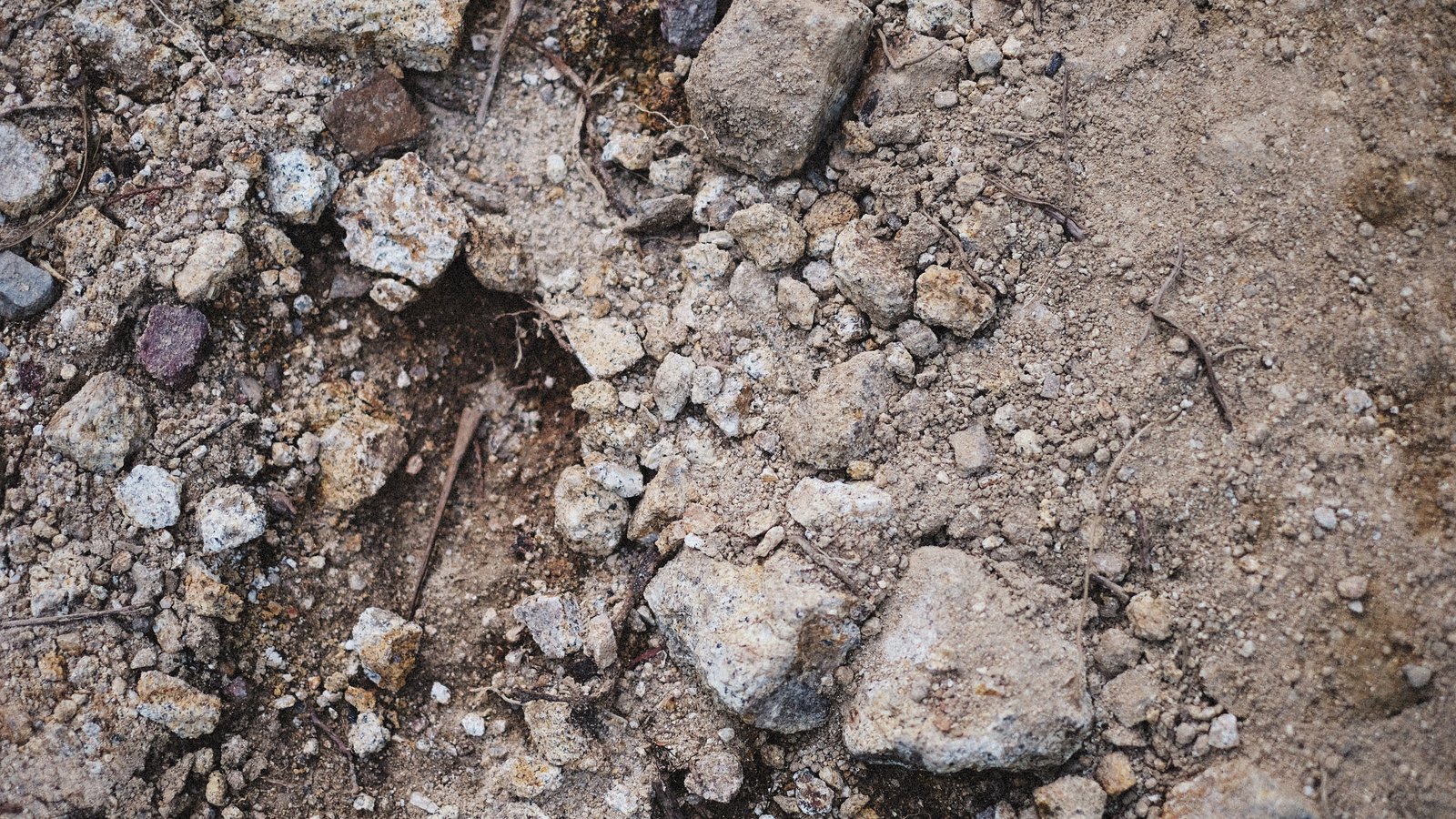 A full frame close crop of dry broken ground seen from directly above, loose pale sandy soil scattered with small pale stones and a few dry twigs, filling the whole picture with no horizon and no edge in view. No text, signage, brand mark, vehicle, person, structure or identifiable place is visible. A plain patch of dug ground used as an illustration, not a photograph of the Sky Sail gas leak or of the site where the pipe was struck.