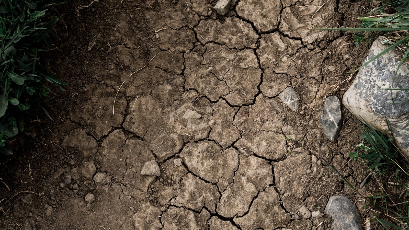 A close overhead photograph of dry brown earth cracked into irregular plates, with loose crumbs of soil and a few pale stones across it and tufts of dark green grass at two corners. No people, buildings, vehicles, text or lettering are in the frame, and no place can be identified from it.