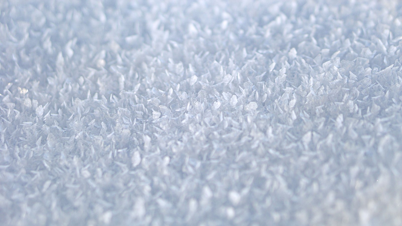 A dense field of countless tiny ice crystals filling the whole frame, each only a few millimetres across and standing on edge in every direction, pale blue and white, sharpest through the middle of the picture and softening towards the top and bottom edges. No object, person, text, brand or horizon is in view.