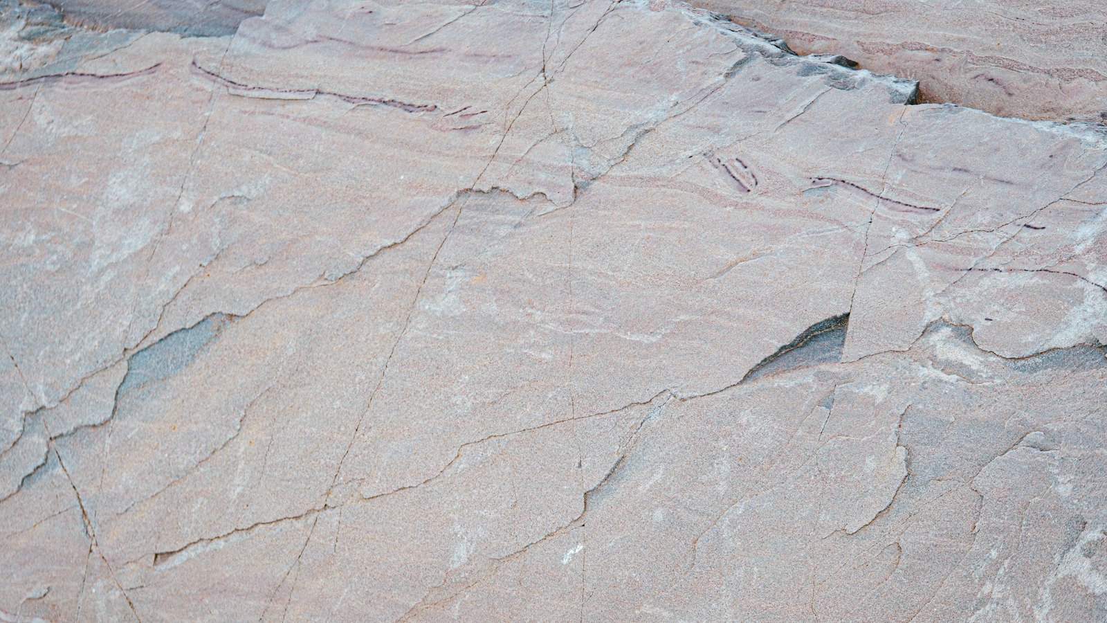 A pale pink and grey banded quartzite rock face filling the whole frame, its layers running diagonally and crossed by fine hairline joints. No horizon, sky, person, structure, lettering or brand mark is in the picture.