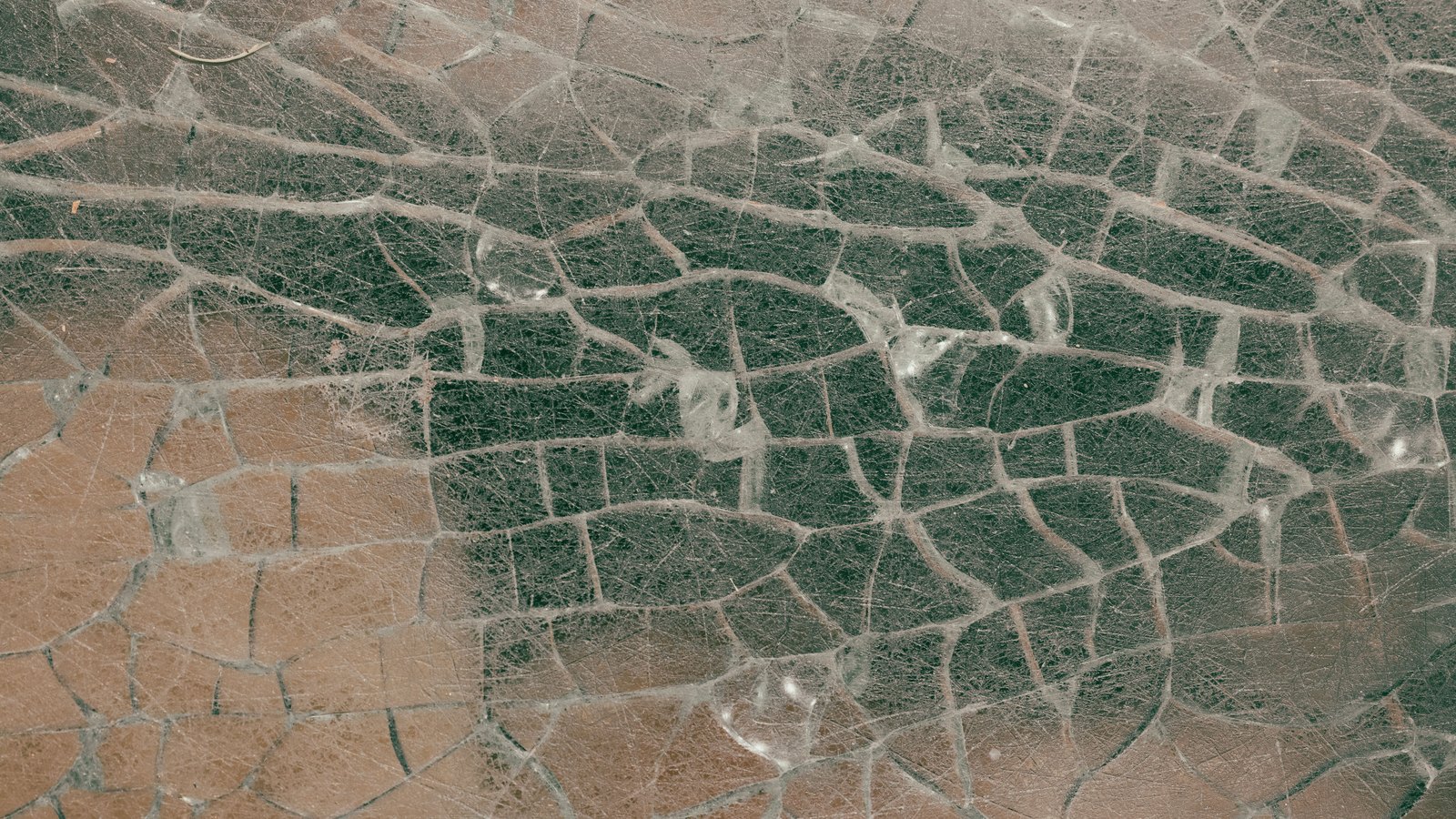 A close photograph of a scratched glass surface filling the whole frame, a dense network of fine cracks dividing it into irregular cells across grey and warm brown. No text, brand mark, person or location is visible.