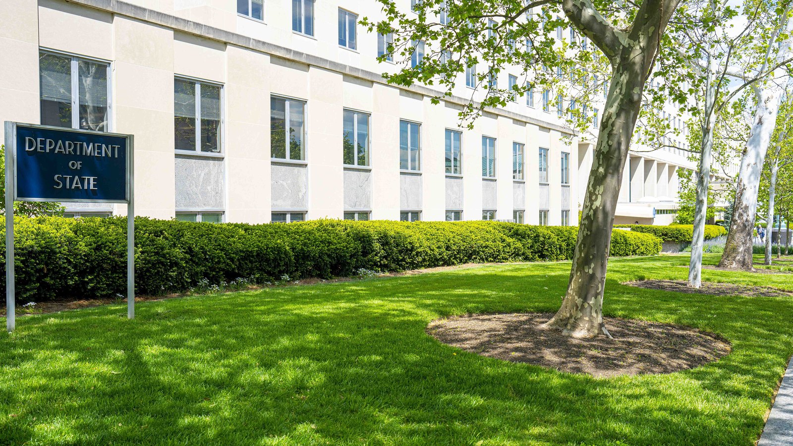 The Harry S Truman Building in Washington seen along its side elevation on a bright spring day, a long pale facade of regularly spaced windows above a clipped hedge and a mown lawn, with a plane tree in the foreground. A dark blue sign on metal posts at the left reads DEPARTMENT OF STATE.