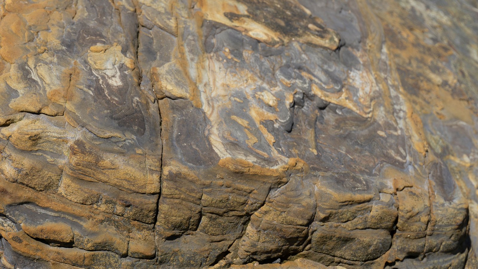 A tight crop of layered sedimentary rock filling the frame, tan and grey bands lying in broken parallel courses with fine cracks running through them.