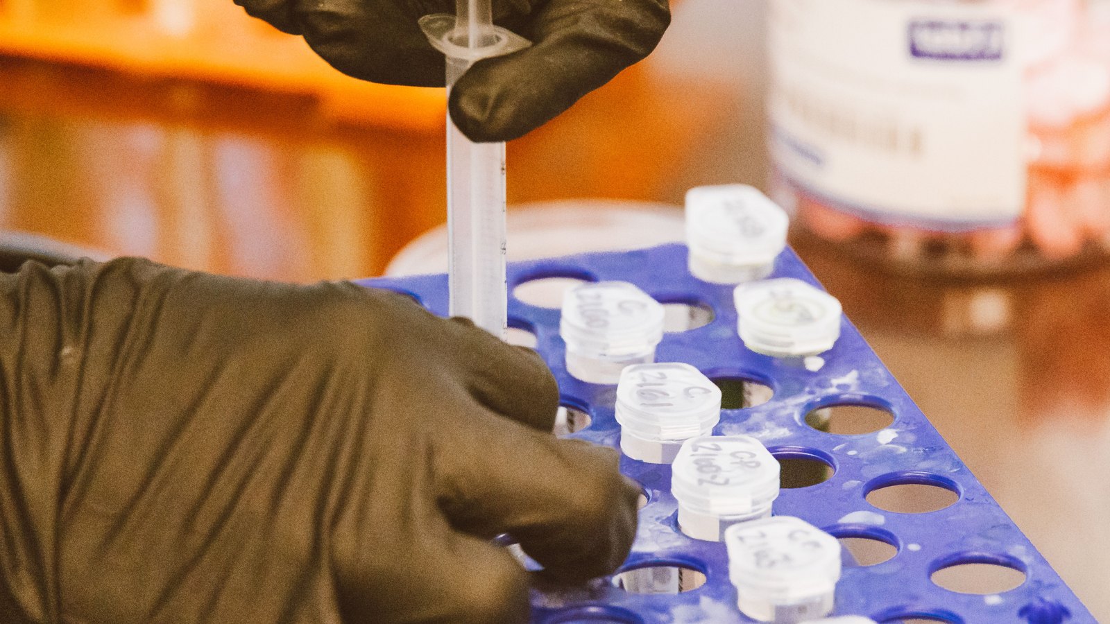 Gloved hands using a pipette over a blue rack of small labelled sample vials in a laboratory.