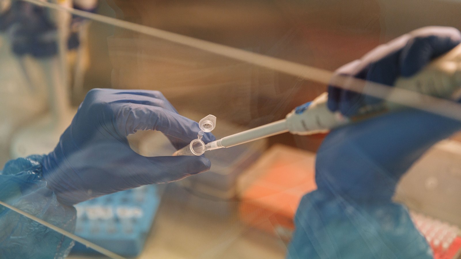 Two blue-gloved hands seen through a laboratory safety screen, one holding a small clear microtube and the other guiding a pipette into it, with racks of tubes blurred behind. No face, no name badge, no signage and no text of any kind appears in the frame. A generic illustration of forensic laboratory work, not a photograph of this event.