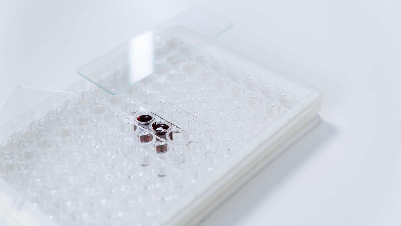 A photograph illustrating microplate well plate macro.