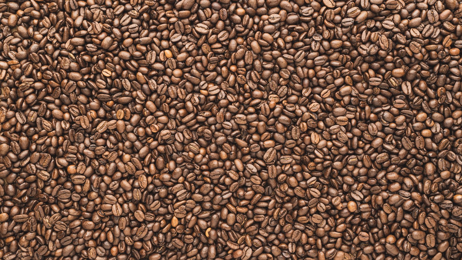 A close overhead photograph of whole roasted coffee beans packed edge to edge and filling the whole frame, each bean showing the crease down its centre, in browns running from tan to near black. No text, brand mark, person, container or place is in view.