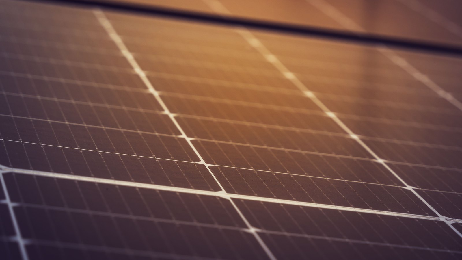 A close oblique view of the surface of a photovoltaic panel, with the fine grid of cell squares and the pale busbar lines running across the whole frame in warm low light. No text, brand mark, person, building or horizon is in view.