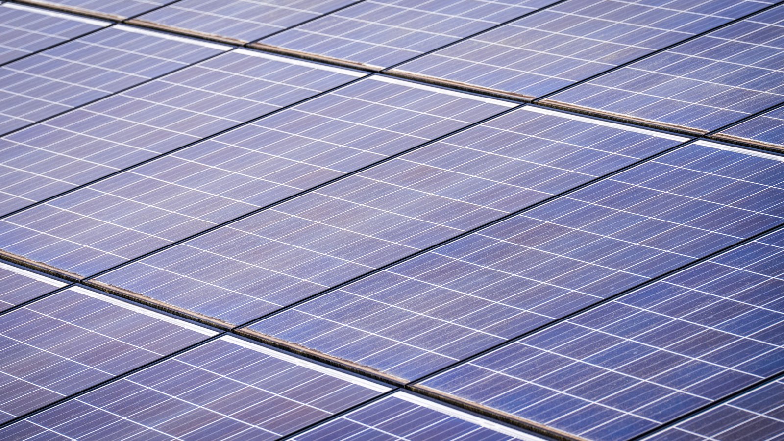 A close crop of solar photovoltaic panels seen at an angle, the fine white conductor lines on each blue cell forming a regular grid across the whole frame. No sky, buildings, people, signage or lettering are visible and no place can be identified from it. A generic illustration of the product, not a photograph of the Summerville facility or of any module made by this company.