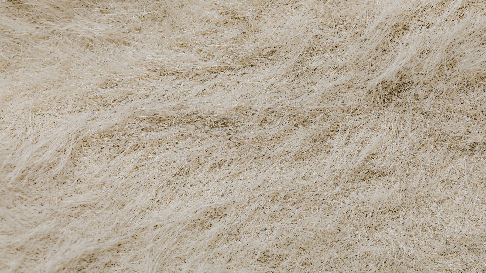 A close overhead macro of a pale cream mat of fine tangled fibres, lying in soft diagonal drifts with small dark gaps showing through. No text, lettering, brand mark, product, person, place or horizon is in the frame.