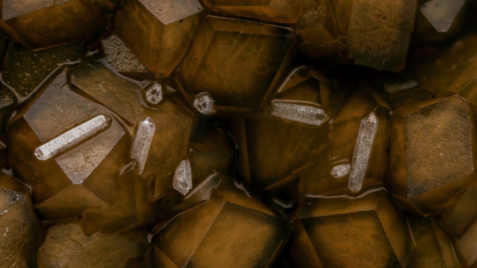 A close photograph of a dense cluster of dark golden brown crystals filling the whole frame, flat facets meeting at sharp angles, with a scattering of small clear needle shaped crystals lying across them. No text, brand mark, person or place is in view.