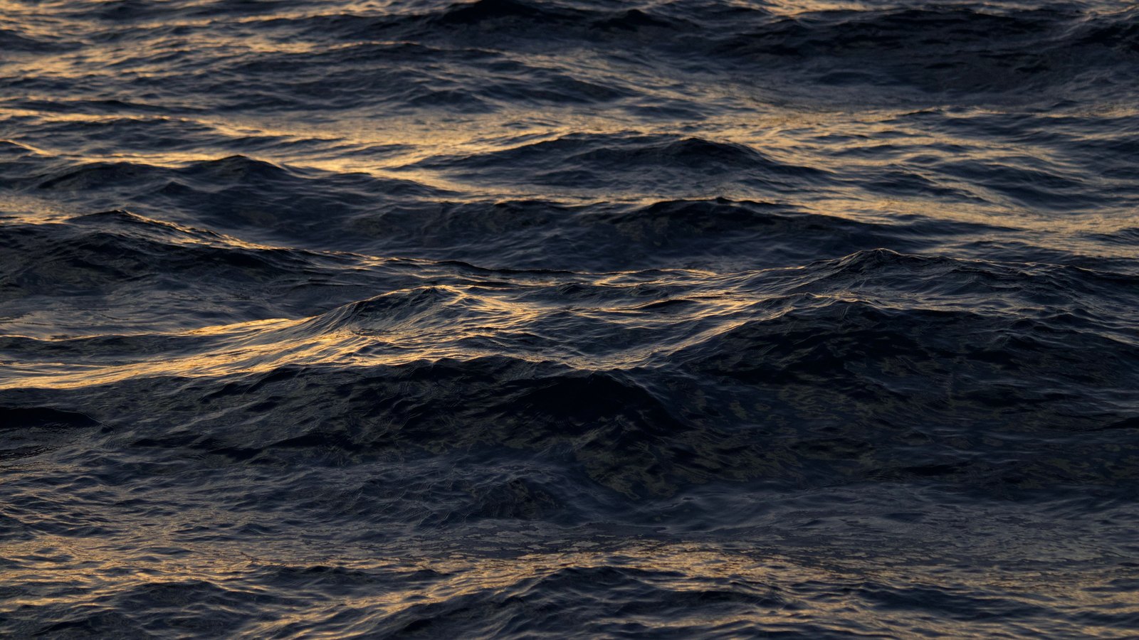 A photograph of open sea filling the frame, low sunset light catching the crests of small waves in narrow bands of pale gold while the troughs between them stay close to black. No vessel, shore, horizon, person, marking or lettering is in view.