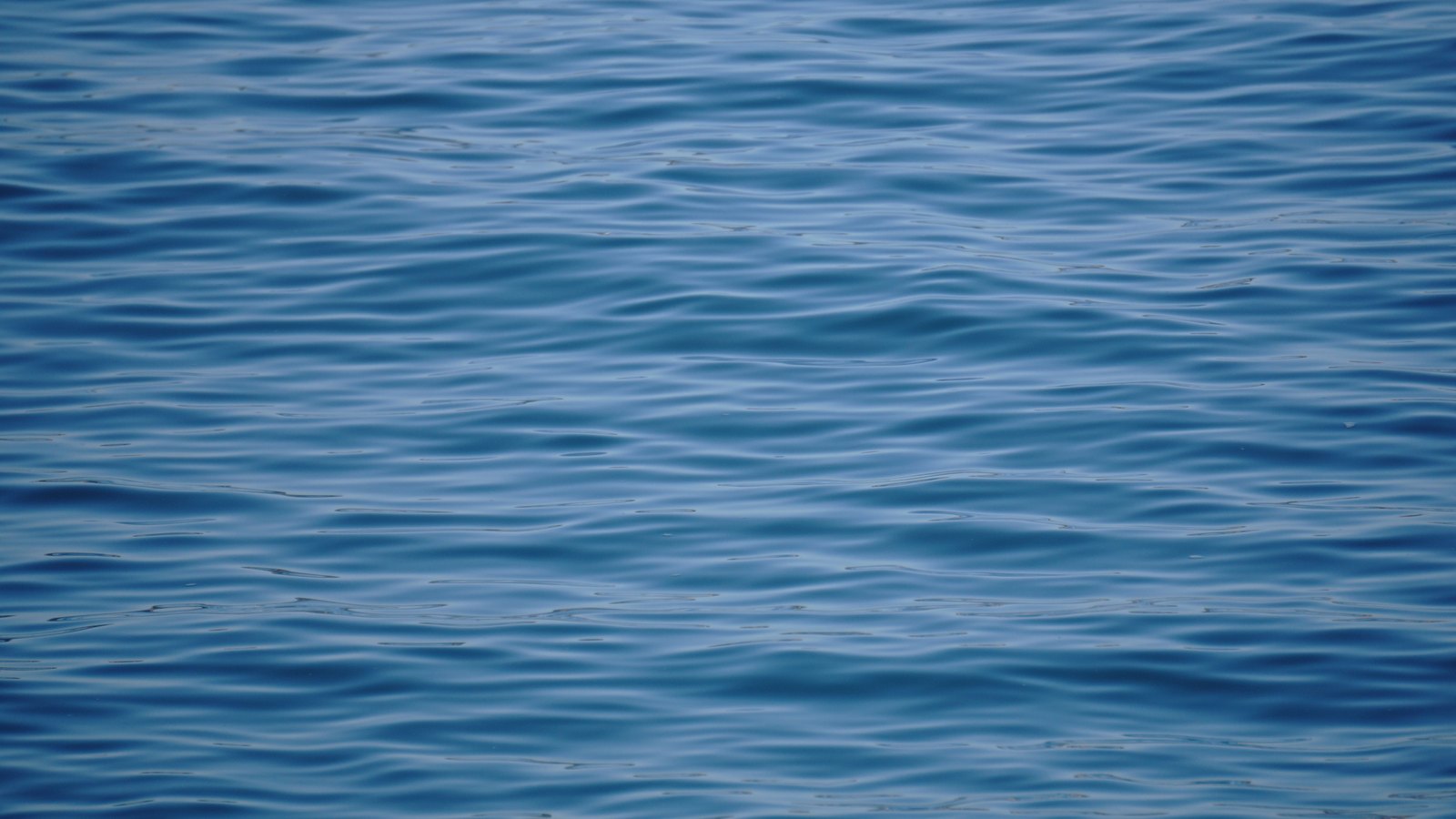 A close photograph of open blue sea water filling the whole frame, the surface carrying fine parallel ripples running left to right, pale where they catch the light and deeper blue in the troughs. No horizon, sky, coastline, vessel, person, text or identifiable place is in view.