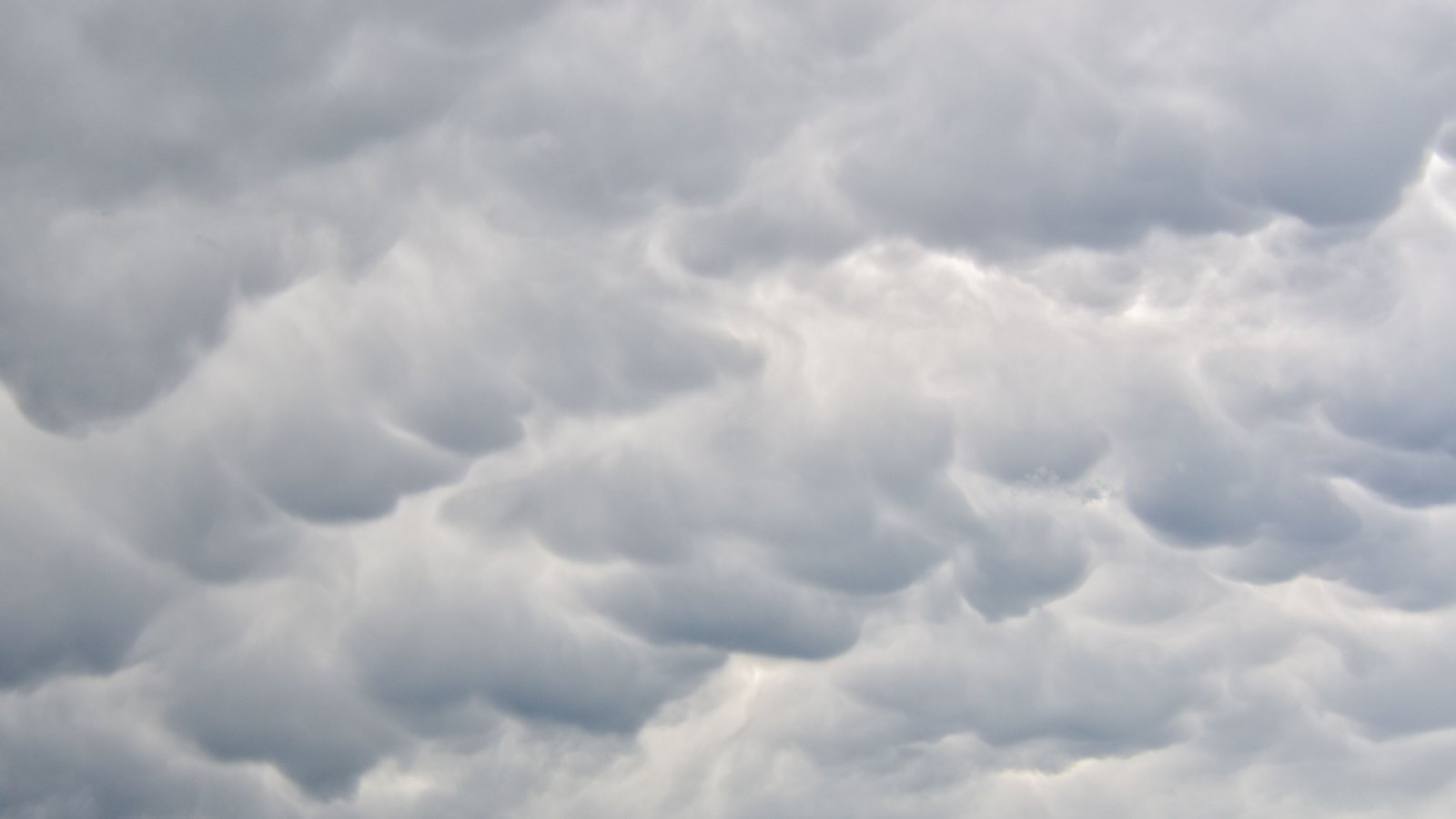 A photograph of an overcast sky filling the whole frame, the underside of the cloud broken into rows of soft rounded lobes in grey and white, brighter towards the upper right and darker below. No horizon, ground, sea, vessel, text or identifiable place is in view.
