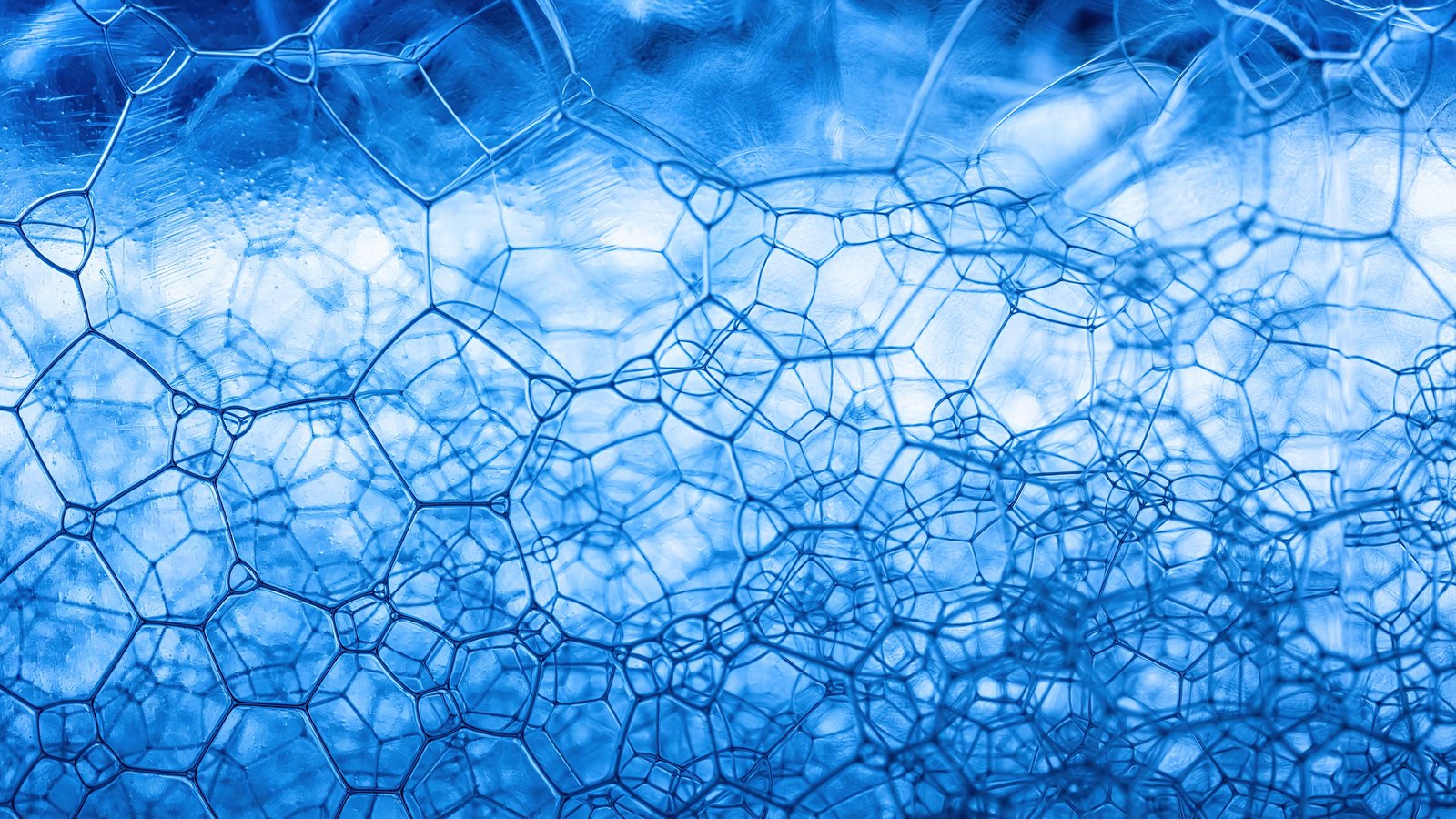 A macro photograph of soap foam, a dense mass of translucent bubbles in blue and white, the thin walls between them catching the light.