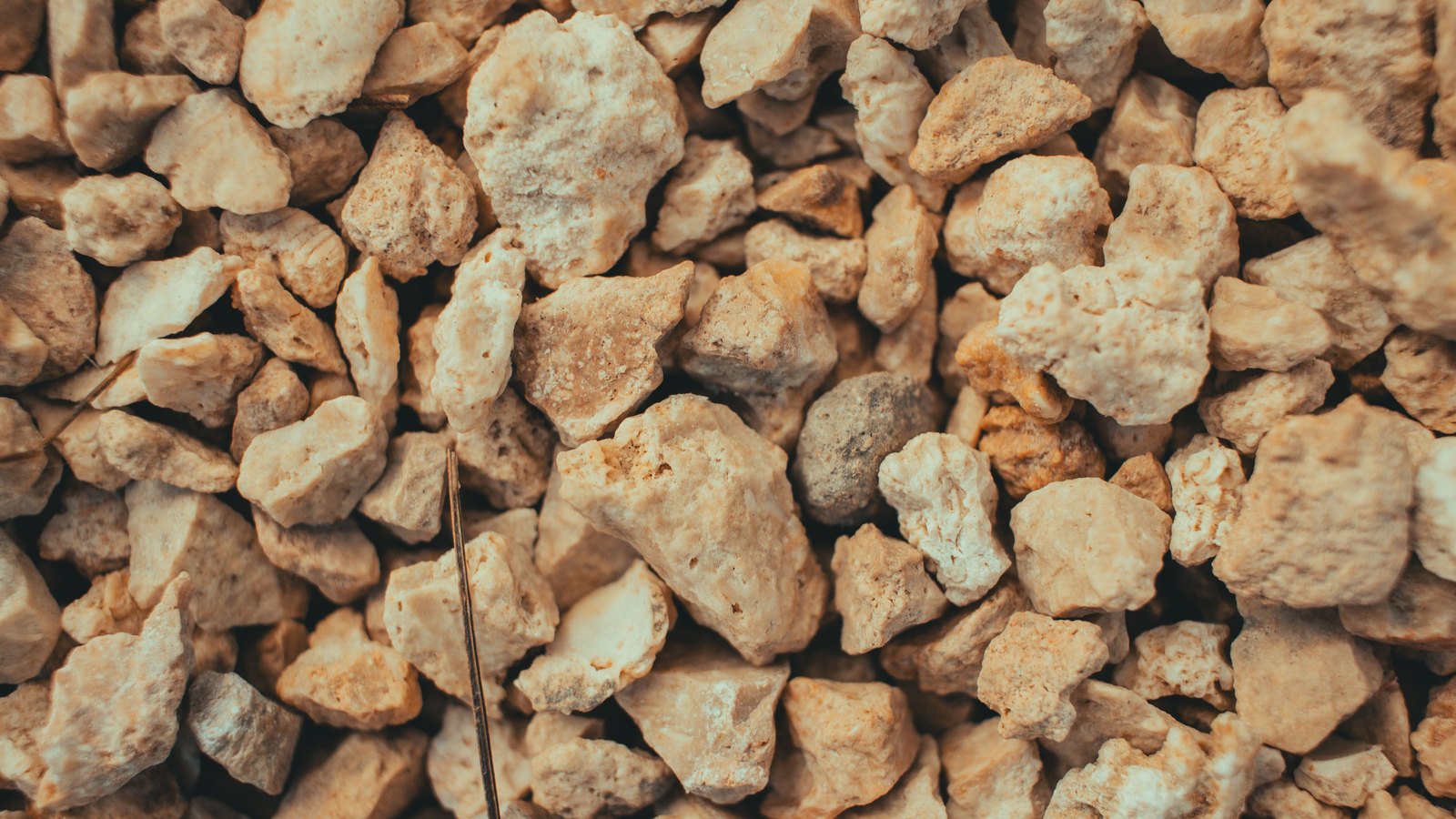 A close overhead crop of crushed stone chippings in pale cream and tan, filling the frame, with one thin dry stem lying across them. It is used as an illustration and is not a photograph of this intersection or of either crash.