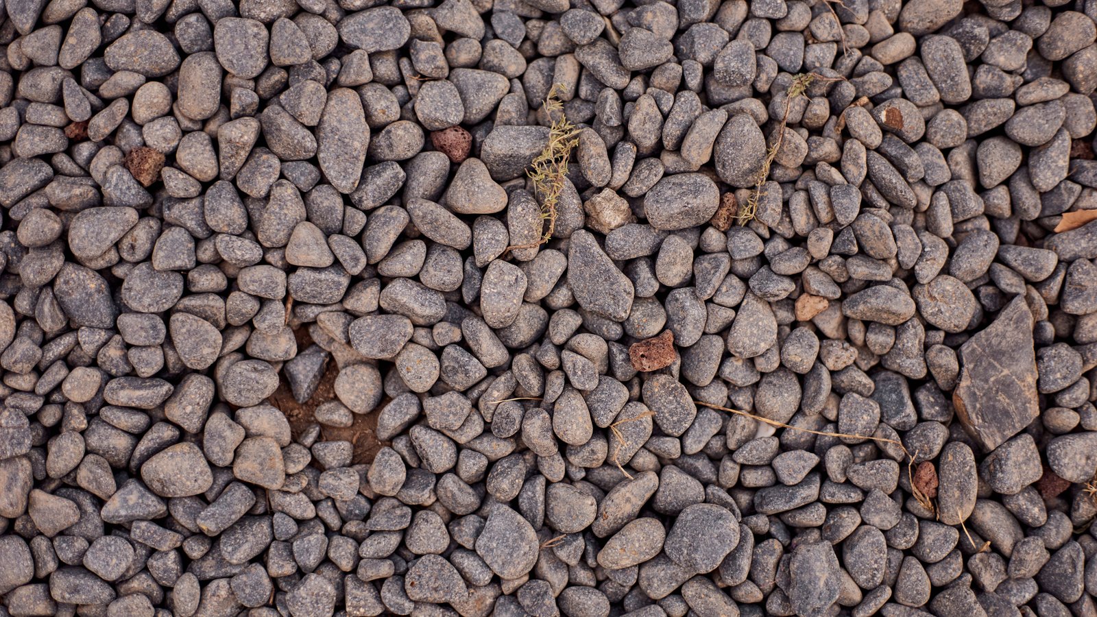 Small rounded grey pebbles packed tightly together, photographed from directly above so that they fill the frame. A few dry stems lie across them and one larger flat stone sits at the right edge.