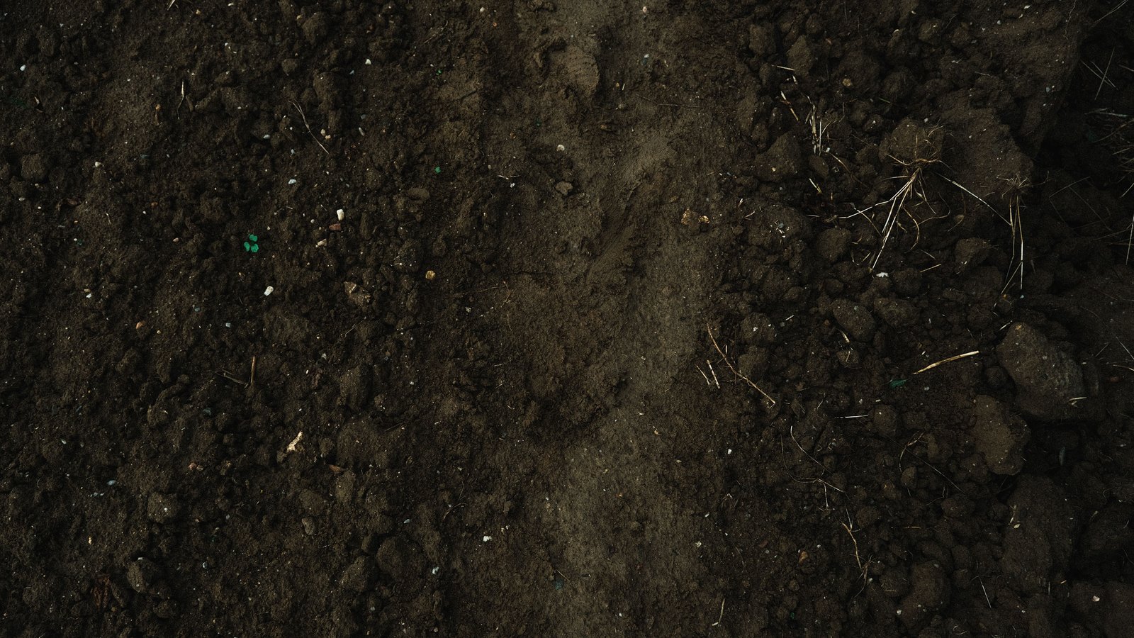 A top-down macro of dark worked soil, crumbled clods and small stones with a few dry stems lying across the right of the frame.