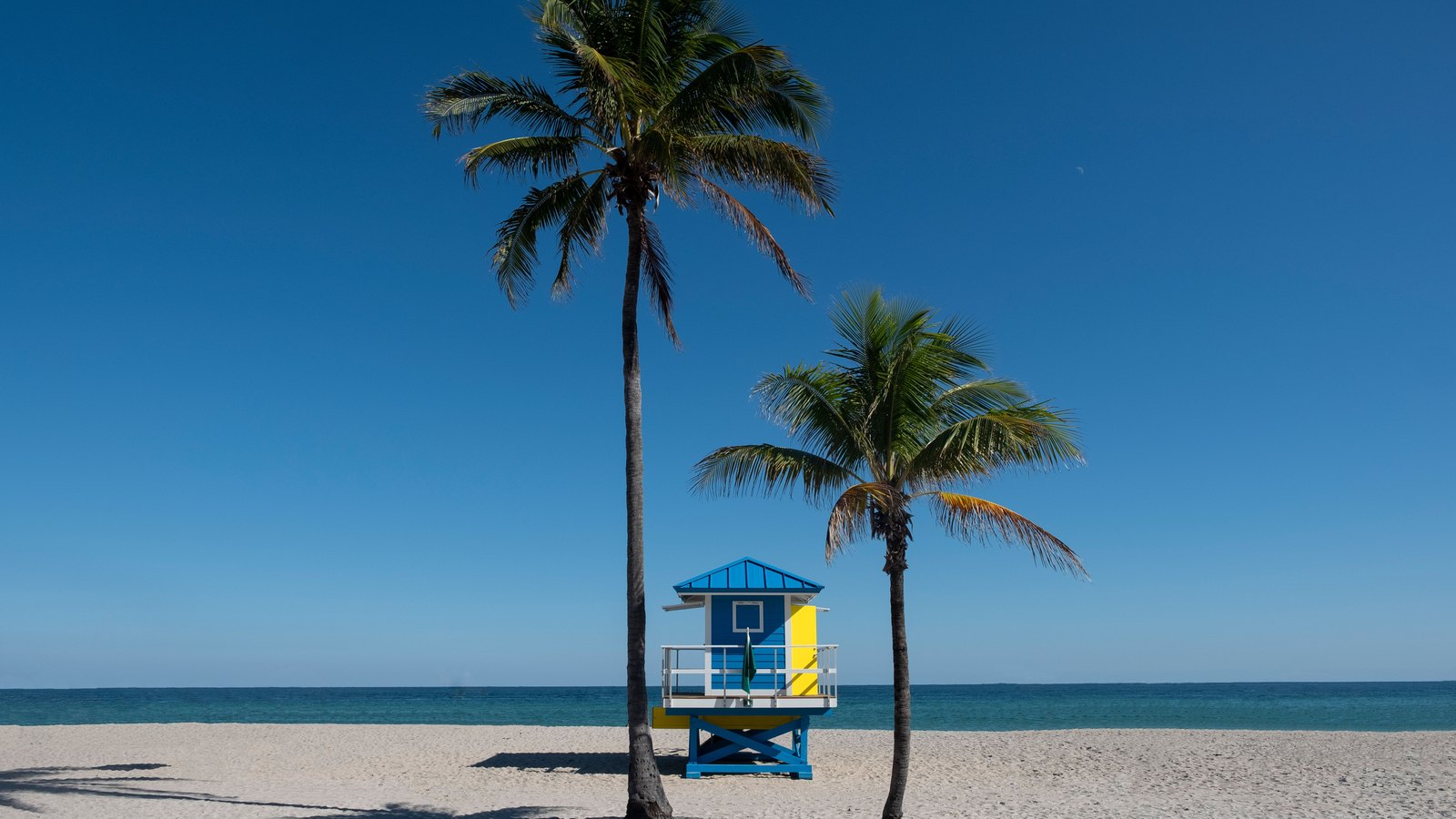 An empty lifeguard tower between palm trees on a sandy Florida beach, not a photograph of this event.