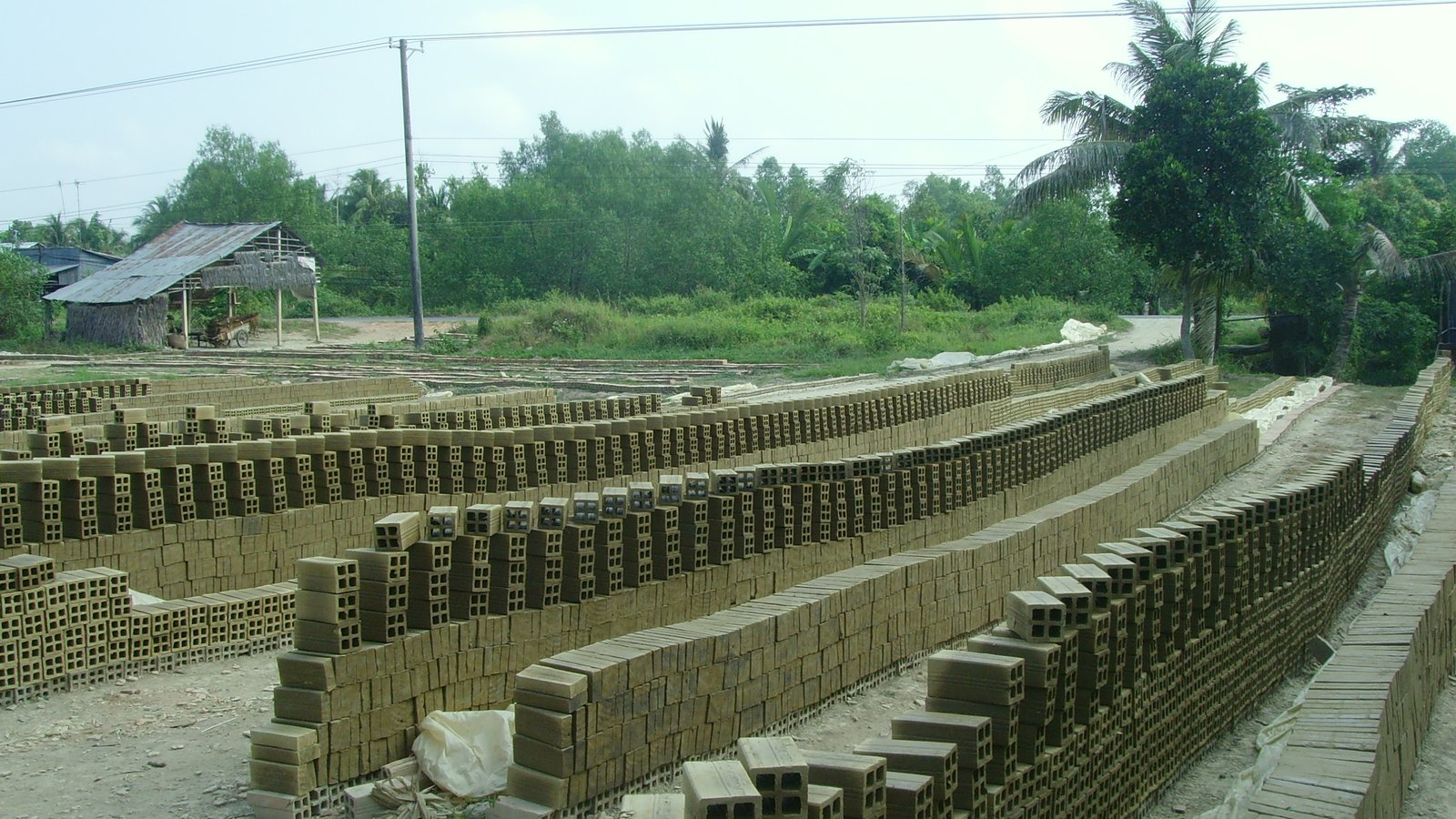 Rows of newly made bricks at a factory in Vietnam's Mekong Delta.