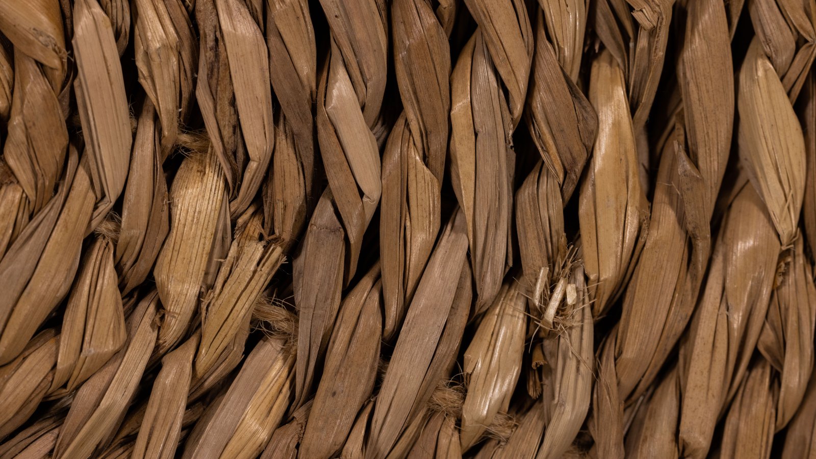 A tight macro of dried plant fibre braided into close parallel rows, each strand twisted and overlapping the next, filling the whole frame in warm pale brown. No text, lettering, brand mark, tool, person, sky or place is in view.