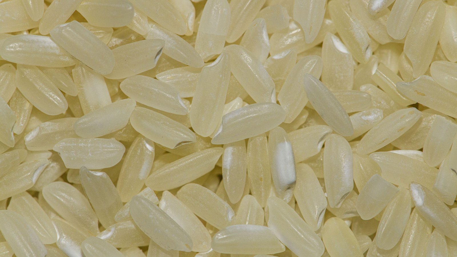 A close overhead photograph of uncooked long grain rice filling the frame, the translucent cream grains lying loosely across one another with opaque chalk-white patches at the tip of many of them.