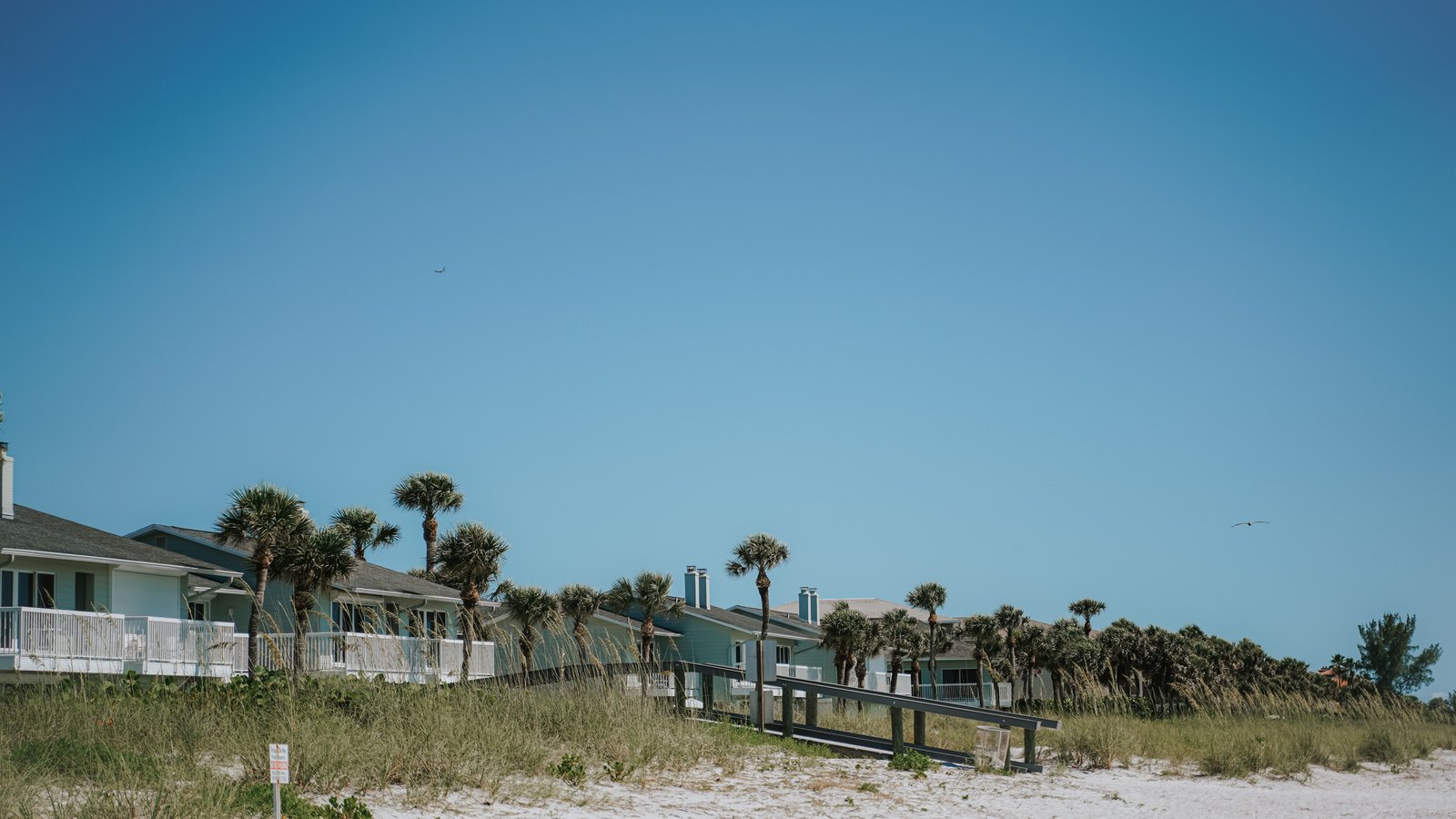 A row of low single-storey houses set behind a sandy dune and sea oats on a Florida Gulf coast beach, palms above the rooflines, under a clear sky.