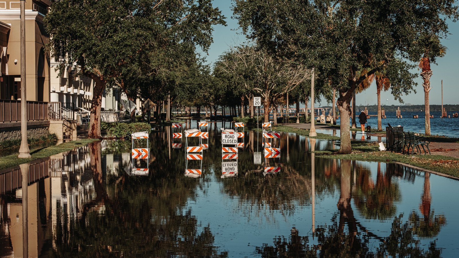 Standing floodwater covering a waterfront street in Florida, with orange and white road closed barricades reflected in the water beneath live oaks and cabbage palms, and open bay water behind.